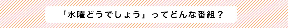 「水曜どうでしょう」ってどんな番組？